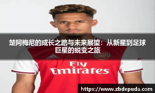 摩根综合体育