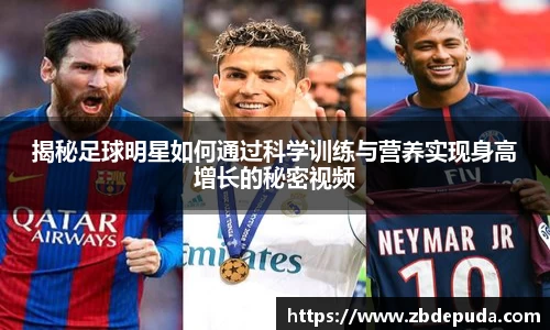 摩根体育官方网站